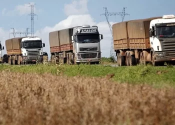 El costo de transporte de cargas aumentó 1,7 % en diciembre pasado
