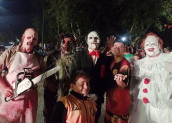 Con notable participación popular se desarrollaron los corsos en Juan N. Fernández