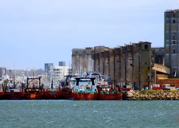 Crisis en la pesca: aseguran que el negocio ya no es rentable y “puede dejar de existir”