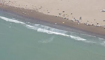 Tragedia en el mar: buscan a un joven de 22 años, oriundo de Ramón Santamarina, que se ahogó en las primeras horas de hoy