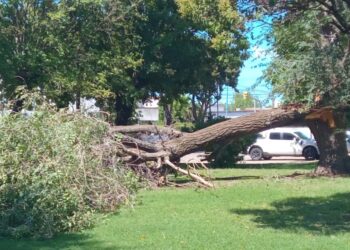 Heridos leves y vientos de hasta 100 km/h, las consecuencias del temporal en Necochea