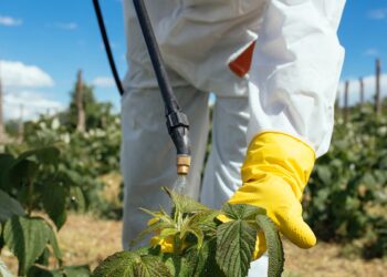 Fitosanitarios y una creciente preocupación por el medio ambiente