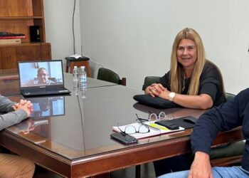 Implementación del programa de luminarias en los accesos de Quequén y Necochea. Por Miguel Abálsamo