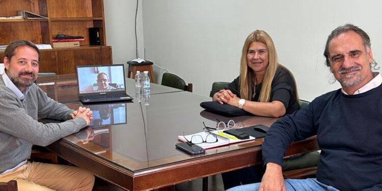 Implementación del programa de luminarias en los accesos de Quequén y Necochea. Por Miguel Abálsamo