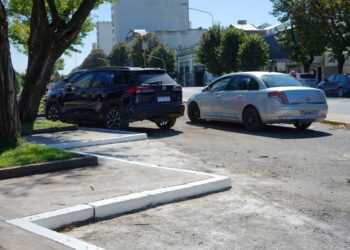 Se efectuaron tareas de bacheo, poda y señalización en bulevares del microcentro