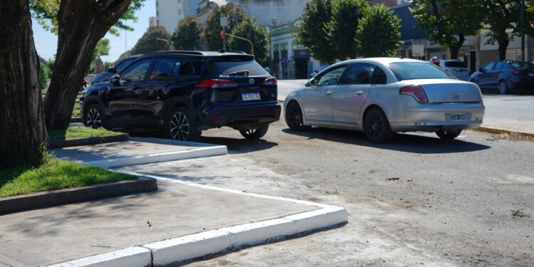 Se efectuaron tareas de bacheo, poda y señalización en bulevares del microcentro