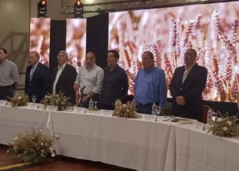 Mesa Redonda de la Fiesta del Trigo: Articulación para el crecimiento
