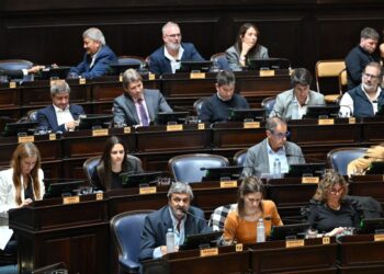 Fin de la discordia: Diputados aprobó la suspensión de las PASO en la Provincia