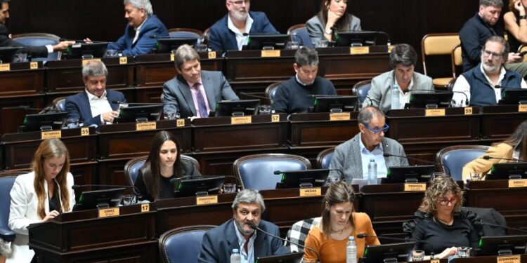 Fin de la discordia: Diputados aprobó la suspensión de las PASO en la Provincia