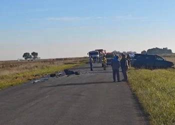 Tragedia en ruta 29: murió el conductor de una camioneta tras chocar contra un camión de ganado