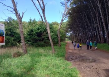 Se ofrecen actividades deportivas gratuitas para disfrutar de la naturaleza necochense