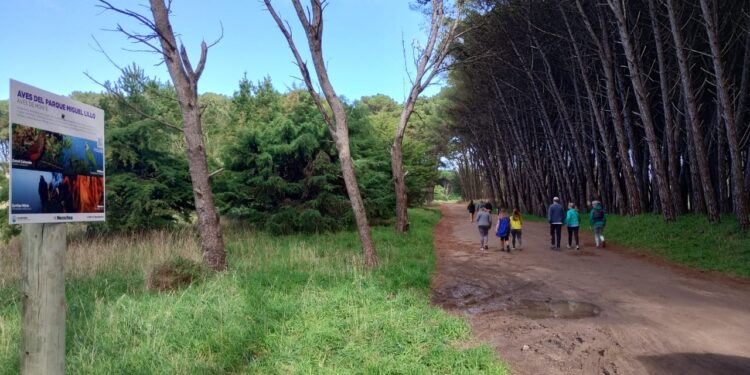 Se ofrecen actividades deportivas gratuitas para disfrutar de la naturaleza necochense