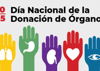 Día Nacional de la Donación de Órganos: en lo que va del año se realizaron más de 1.600 trasplantes