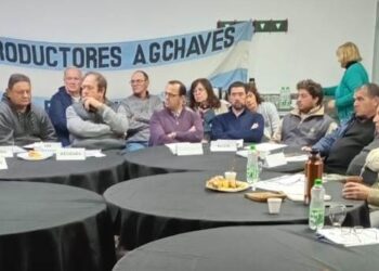 Kovarsky: “el campo para invertir necesita rentabilidad y señales políticas”