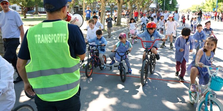 Mariela Cellerino (Observatorio Vial): “No hay excusas para salvarte la vida”