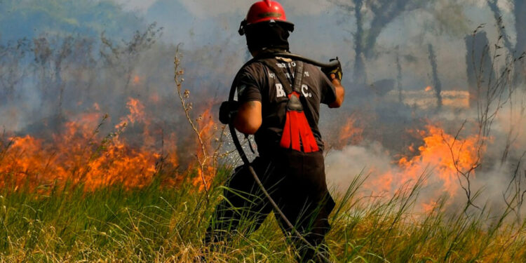 El sueño del Cuerpo de Bomberos de Ramón Santamarina
