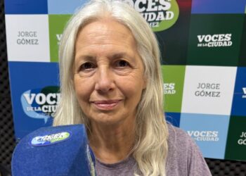 Advierten con preocupación sobre la desregulación del mercado de armas en Argentina.