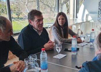 Guillermo Montenegro: “El Estado no tiene que crecer, sino ayudar al privado para que genere empleo”
