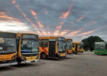 Micros: hubo una breve interrupcióndel servicio este lunes y se anuncia retención de tareas desde la 0 hora de este martes 12 .Por Jorge Gómez