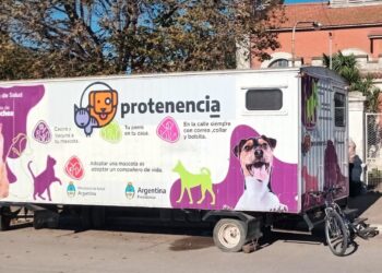 Jornada de vacunación antirrábica y nueva campaña de castración en Necochea