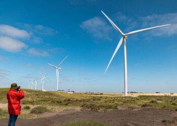 ¿Dónde está la primavera? Necochea bajo alerta por fuertes vientos