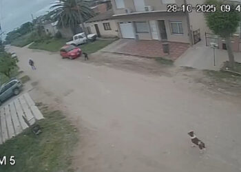 Robo a plena luz del día en calle 54: el hecho quedó registrado por una cámara de seguridad