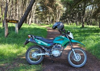 Capacitación en Necochea para fortalecer la prevención y combate de incendios forestales