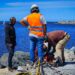 Trabajos de mantenimiento y reemplazo de columnas de alumbrado en la Escollera Sur