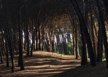 Así arranca noviembre: un poco de lluvia, algo de sol y mucho viento