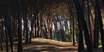 Así arranca noviembre: un poco de lluvia, algo de sol y mucho viento