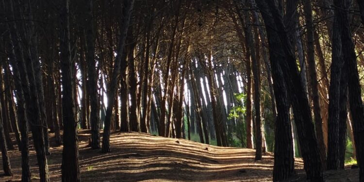 Así arranca noviembre: un poco de lluvia, algo de sol y mucho viento