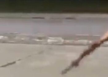 Dra. Verónica Posse: “La violencia entre adolescentes creció y muchos menores quedan fuera del alcance de la ley”