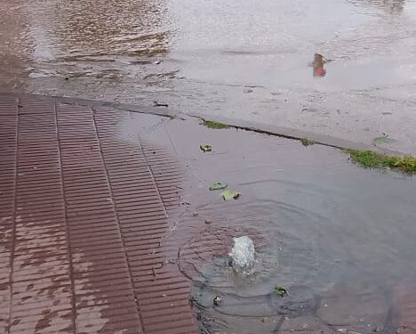 Vecinos denuncian desborde cloacal frente a la Escuela Nuestra Señora de la Merced