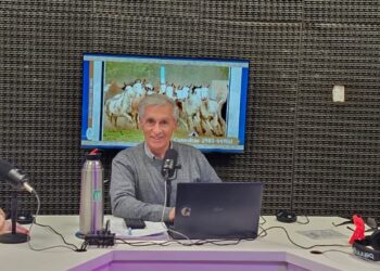 Primera condena por maltrato animal en la provincia: inhabilitan a un vecino de San Cayetano por la muerte de su caballo