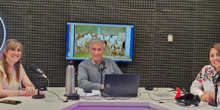 Primera condena por maltrato animal en la provincia: inhabilitan a un vecino de San Cayetano por la muerte de su caballo