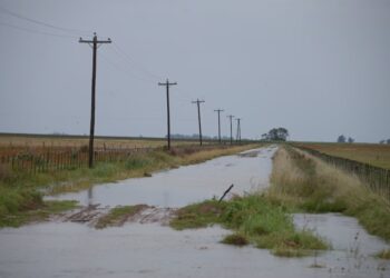 Preocupación en el campo: estiman más de 5 millones de hectáreas afectadas por las inundaciones en la Provincia de Buenos Aires