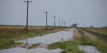 Preocupación en el campo: estiman más de 5 millones de hectáreas afectadas por las inundaciones en la Provincia de Buenos Aires