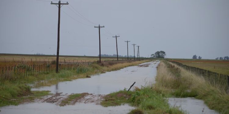 Preocupación en el campo: estiman más de 5 millones de hectáreas afectadas por las inundaciones en la Provincia de Buenos Aires