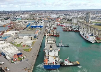 Situación alarmante del puerto de Mar del Plata: “Hace 10 años a esta parte se vino en picada”
