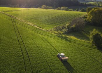 Caputo anunció una nueva reducción de retenciones para el sector agropecuario