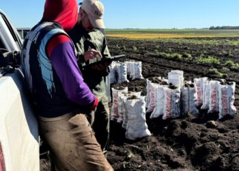 Detectaron irregularidades laborales en un campo de Lobería durante una inspección