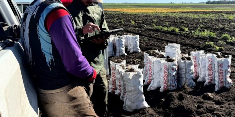 Detectaron irregularidades laborales en un campo de Lobería durante una inspección