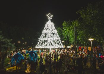 Necochea encendió su Árbol de Navidad: emoción, folclore y una plaza colmada de familias