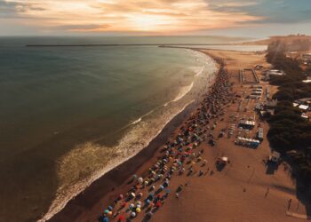 Debaten un proyecto para regular y sancionar la actividad de los “trapitos” en Necochea