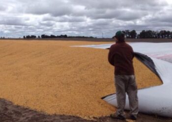 Vandalismo rural: una amenaza persistente que vuelve a encender alarmas en el campo