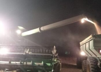 Las fiestas de fin de año: Cuando se festeja en el campo, porque el deber no espera.