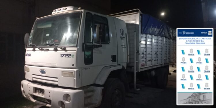 Esclarecieron un hurto en Quequén y secuestraron un camión vinculado al hecho