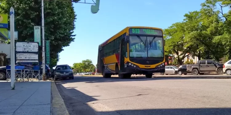 Se interrumpe el servicio de transporte público en Necochea y Quequén