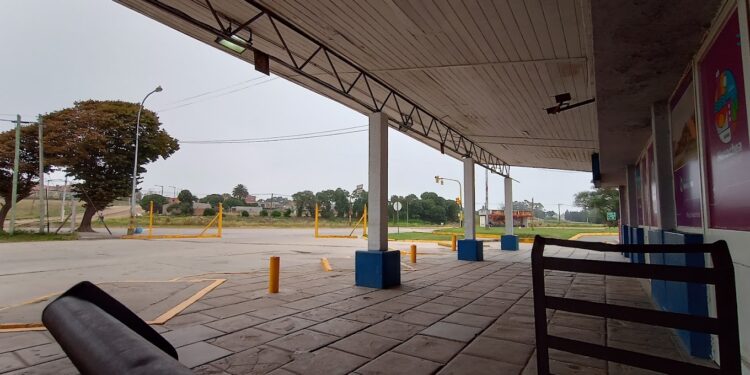 Intenso movimiento en la Terminal de Ómnibus: micros completos y expectativa por una temporada fuerte