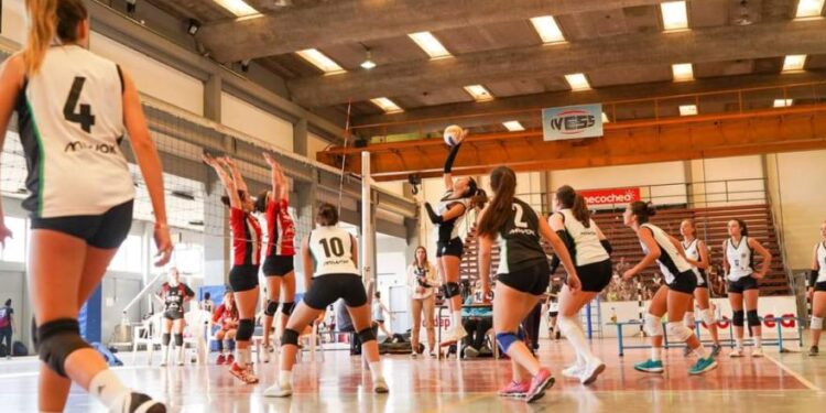 El “Open Neco” vuelve a Necochea y se consolida como uno de los grandes eventos del vóley argentino